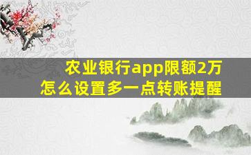 农业银行app限额2万怎么设置多一点转账提醒