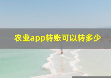 农业app转账可以转多少