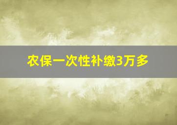 农保一次性补缴3万多