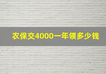 农保交4000一年领多少钱