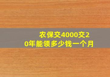 农保交4000交20年能领多少钱一个月