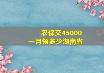 农保交45000一月领多少湖南省