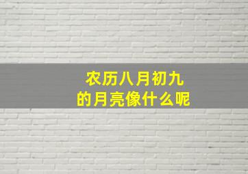 农历八月初九的月亮像什么呢