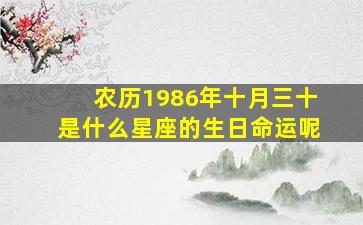 农历1986年十月三十是什么星座的生日命运呢