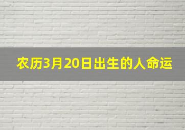 农历3月20日出生的人命运