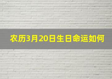 农历3月20日生日命运如何