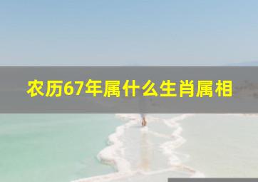 农历67年属什么生肖属相