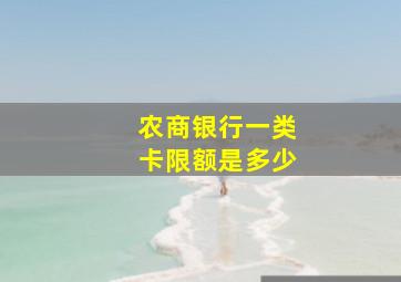 农商银行一类卡限额是多少