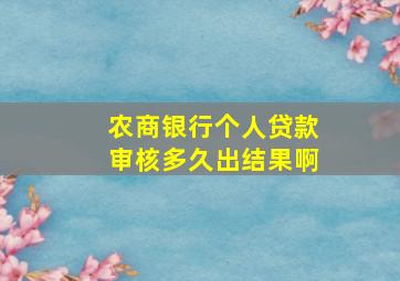 农商银行个人贷款审核多久出结果啊