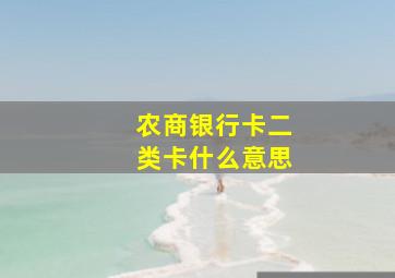 农商银行卡二类卡什么意思