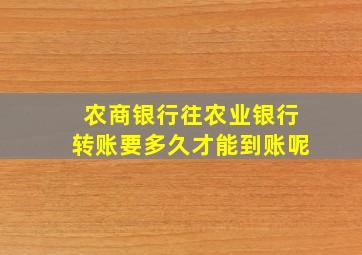 农商银行往农业银行转账要多久才能到账呢