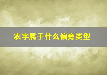 农字属于什么偏旁类型