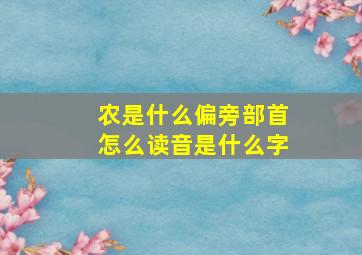 农是什么偏旁部首怎么读音是什么字