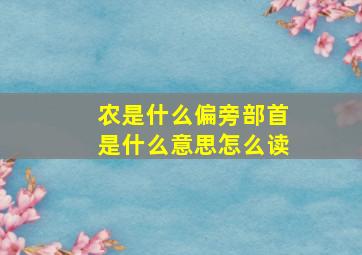 农是什么偏旁部首是什么意思怎么读