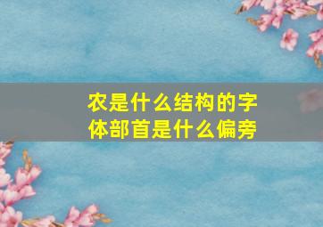 农是什么结构的字体部首是什么偏旁