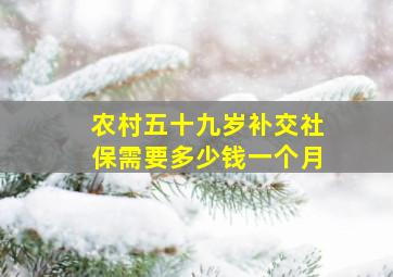 农村五十九岁补交社保需要多少钱一个月