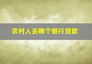 农村人去哪个银行贷款