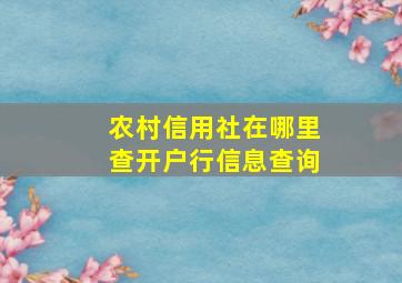 农村信用社在哪里查开户行信息查询