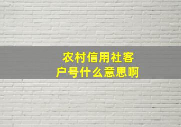 农村信用社客户号什么意思啊