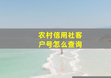 农村信用社客户号怎么查询