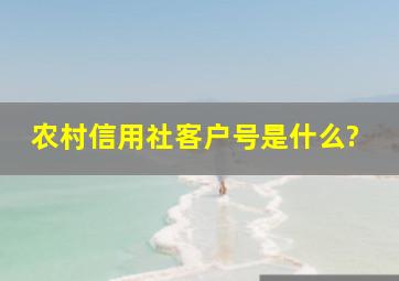 农村信用社客户号是什么?