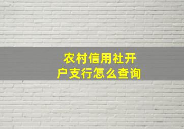 农村信用社开户支行怎么查询