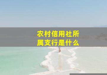 农村信用社所属支行是什么