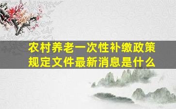 农村养老一次性补缴政策规定文件最新消息是什么