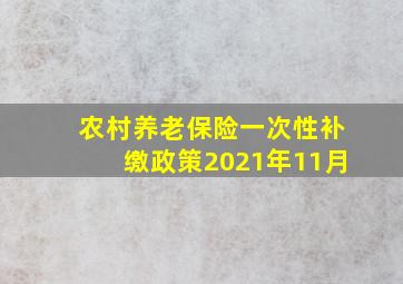 农村养老保险一次性补缴政策2021年11月