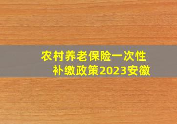 农村养老保险一次性补缴政策2023安徽