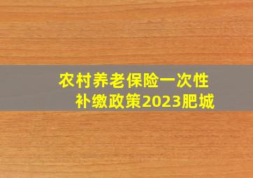 农村养老保险一次性补缴政策2023肥城