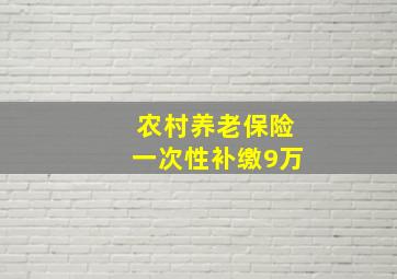 农村养老保险一次性补缴9万