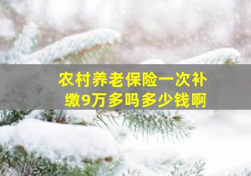 农村养老保险一次补缴9万多吗多少钱啊