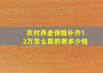 农村养老保险补齐12万怎么算的呢多少钱