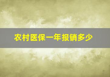 农村医保一年报销多少