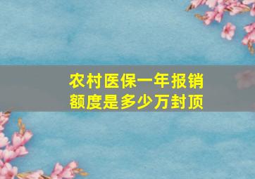 农村医保一年报销额度是多少万封顶