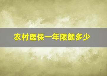 农村医保一年限额多少