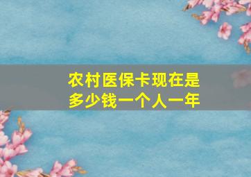 农村医保卡现在是多少钱一个人一年