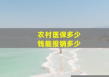 农村医保多少钱能报销多少