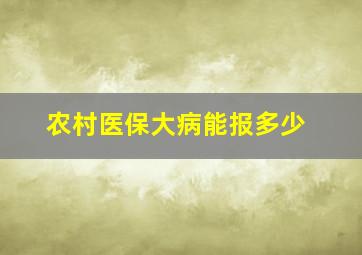 农村医保大病能报多少