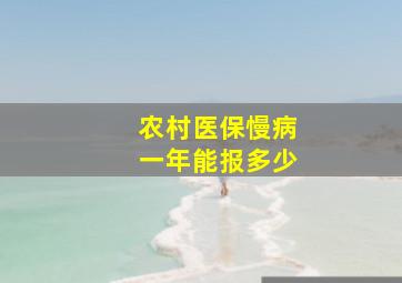 农村医保慢病一年能报多少