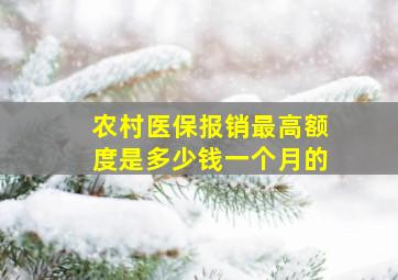 农村医保报销最高额度是多少钱一个月的