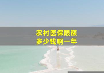 农村医保限额多少钱啊一年