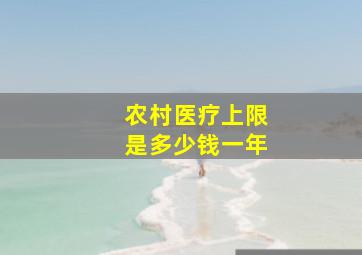 农村医疗上限是多少钱一年