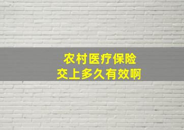 农村医疗保险交上多久有效啊