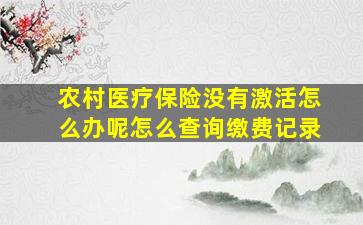 农村医疗保险没有激活怎么办呢怎么查询缴费记录