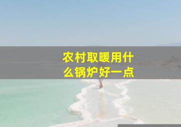 农村取暖用什么锅炉好一点