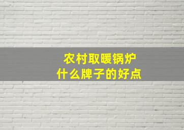 农村取暖锅炉什么牌子的好点