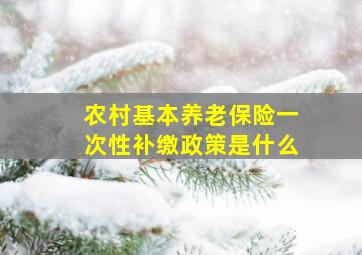 农村基本养老保险一次性补缴政策是什么