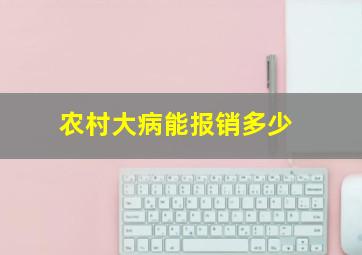 农村大病能报销多少